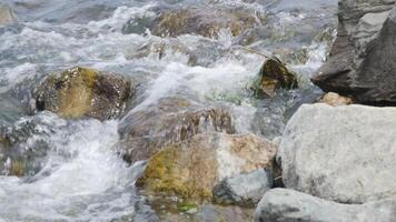 Woud stroom, stroom water en groen bemost rotsen, mos Aan de rotsen Woud stroom, Woud rivier, water loopt snel door de stroomversnellingen, graniet keien met rivier- video