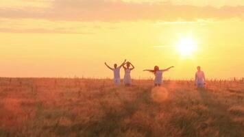Group of young friends hiking on beautiful summer day. Sunset. Group of friends in a field of grass at sunset video