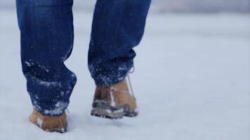 homem caminhando dentro neve. homem caminhando em neve, pegadas dentro neve, atrás. homem anda em dentro a inverno dentro a campo video