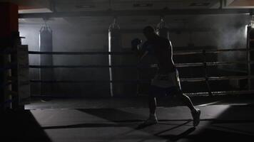 combattente shadowboxing su formazione squillo. professionale combattente. maschio pugile nel formazione abbigliamento sportivo, un esercizio nel gli sport sala, combattimento con un' ombra nel squillo, sciopero analisi video