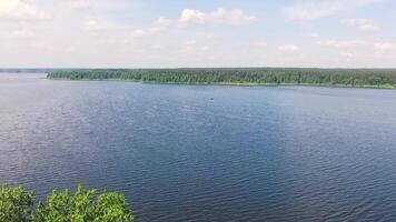 Aerial view of a forest lake. Stock. Top view of the beautiful summer lake video
