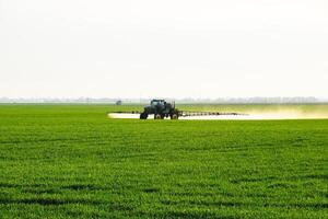 tractor con el ayuda de un rociador aerosoles líquido fertilizantes en joven trigo en el campo. foto