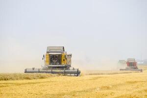 Harvesting wheat with a combine harvester. photo