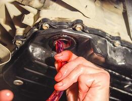 Oil change in automatic transmission. Filling the oil through the hose. Car maintenance station. Red gear oil. The hands of the car mechanic in oil photo