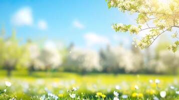 ai generado soleado día en naturaleza, borroso primavera antecedentes con floreciente arboles y azul cielo foto