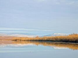 River landscape Early spring. bare trees, melting snow. photo