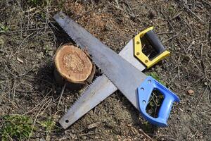 Two saws hacksaws lie across. Garden tool saw. photo