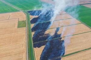 Burning straw in the fields of wheat after harvesting photo