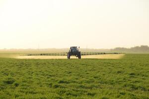 tractor en el puesta de sol antecedentes. tractor con alto ruedas es haciendo fertilizante en joven trigo. el utilizar de finamente disperso rociar productos quimicos foto