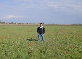 A man in a jacket on a field of tulips. Glade with tulips photo