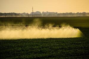 chorros de líquido fertilizante desde el tractor pulverizador. foto