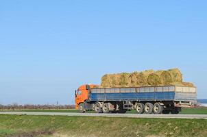 Truck carrying hay in his body. Making hay for the winter. photo