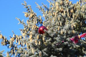 decoraciones nuevo año árbol. oropel y juguetes, pelotas y otro decoraciones en el Navidad Navidad árbol en pie en el abierto aire. foto