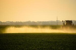 tractor con el ayuda de un rociador aerosoles líquido fertilizantes en joven trigo en el campo. foto