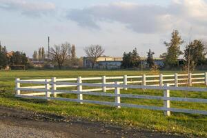 white fence made of wood around the park with small seedlings. photo