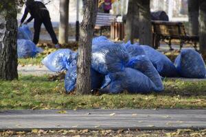 The workers of the municipality collect leaves in the park. Women social workers removed the foliage. photo