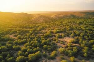 AI generated Death of the forest, drought in the desert. Feature of an environmental disaster. photo