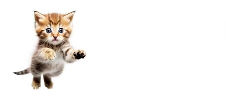 AI generated A small beautiful kitten plays happily in a jump, white background isolate. photo