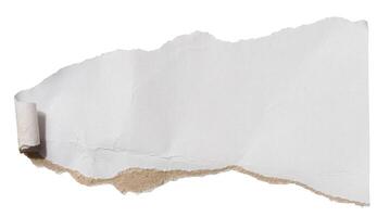 Torn piece of white cardboard with torn edges on an isolated background photo