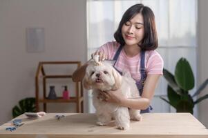 Female professional groomer trimming haircut and combing dog fur at pet spa grooming salon photo