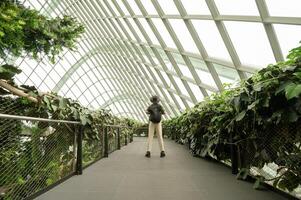 a man in Cloud Forest dome environment at Gardens in Singapore photo