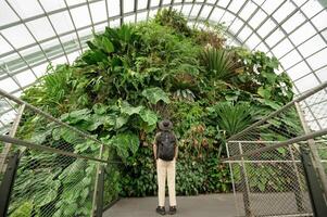 a man in Cloud Forest dome environment at Gardens in Singapore photo