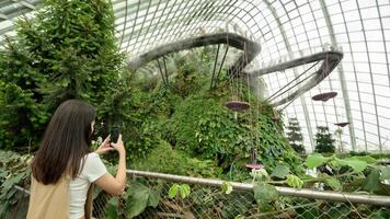 A woman in  Cloud Forest dome environment  in Singapore photo