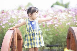 happy woman standing on wooden bridge with yellow cosmos flower field photo