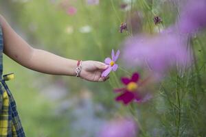 hembra manos toque flores en antecedentes con hermosa flores y verde hojas en el jardín. De las mujeres manos toque y disfrutar el belleza de un natural asiático flor jardín. foto