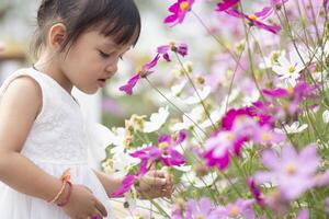 Female hands touch flowers on background with beautiful flowers and green leaves in the garden. Women's hands touch and enjoy the beauty of a natural Asian flower garden. photo