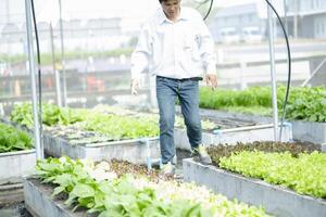 Asian farmers are exploring newly planted organic salad vegetables. photo