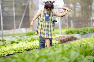 linda pequeño jardín de infancia niño creciente Fresco ensalada en primavera un pequeño chico es contento con jardinería. un joven niña jardines vegetales en su hogar con su asiático padre. foto