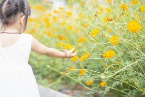 Female hands touch flowers on background with beautiful flowers and green leaves in the garden. Women's hands touch and enjoy the beauty of a natural Asian flower garden. photo