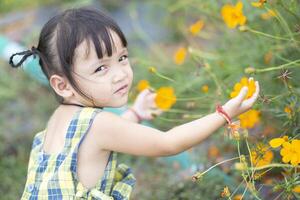 Female hands touch flowers on background with beautiful flowers and green leaves in the garden. Women's hands touch and enjoy the beauty of a natural Asian flower garden. photo