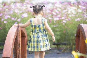 happy woman standing on wooden bridge with yellow cosmos flower field photo