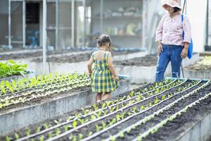 A mother and daughter look at the lettuce seedlings that have been planted in the vegetable garden. photo