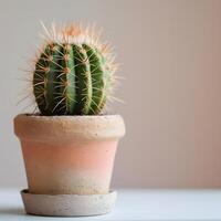 ai generado cactus en un minimalista planta de casa maceta foto