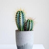 ai generado cactus en un minimalista planta de casa maceta foto