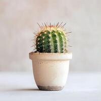 ai generado cactus en un minimalista planta de casa maceta foto