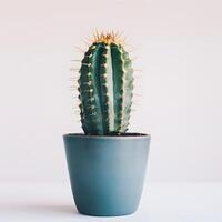 AI generated cactus in a minimalist houseplant pot photo