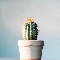 AI generated cactus in a minimalist houseplant pot photo