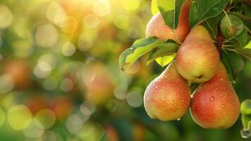 AI generated Beautiful juicy ripe pears hang on a branch in the summer garden photo