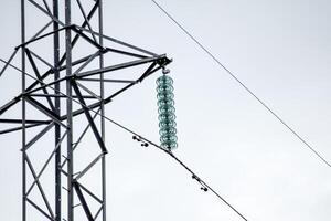 Glass prefabricated high voltage insulators on poles high-voltage power lines. Electrical industry photo