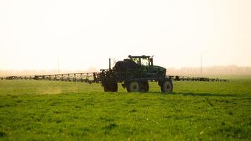 tractor en el puesta de sol antecedentes. tractor con alto ruedas es haciendo fertilizante en joven trigo. foto