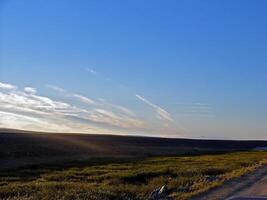 Landscape of the tundra in summer. Summer tundra on the Yamal Pe photo