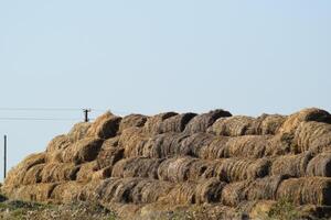 Haystacks in the field photo