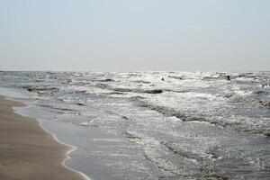 The coast of Sea Azov photo
