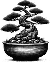 artístico mano dibujado bonsai árbol línea Arte vector