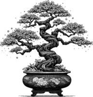 Artistic Hand Drawn Bonsai Tree Line Art Vector