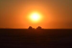 Harvesting by combines at sunset. photo